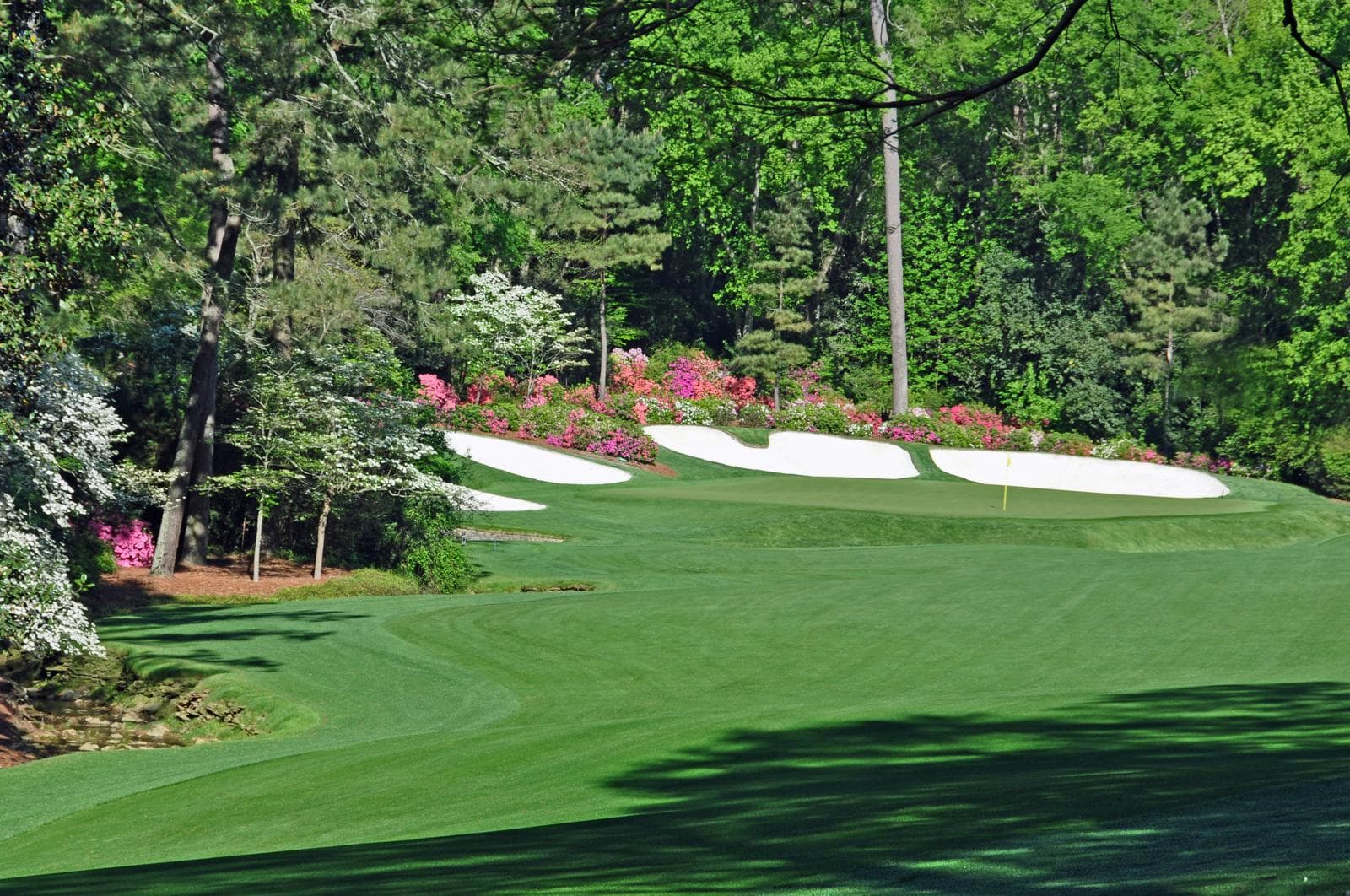 13th Hole - Azalea